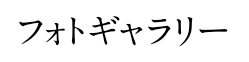 フォトギャラリー